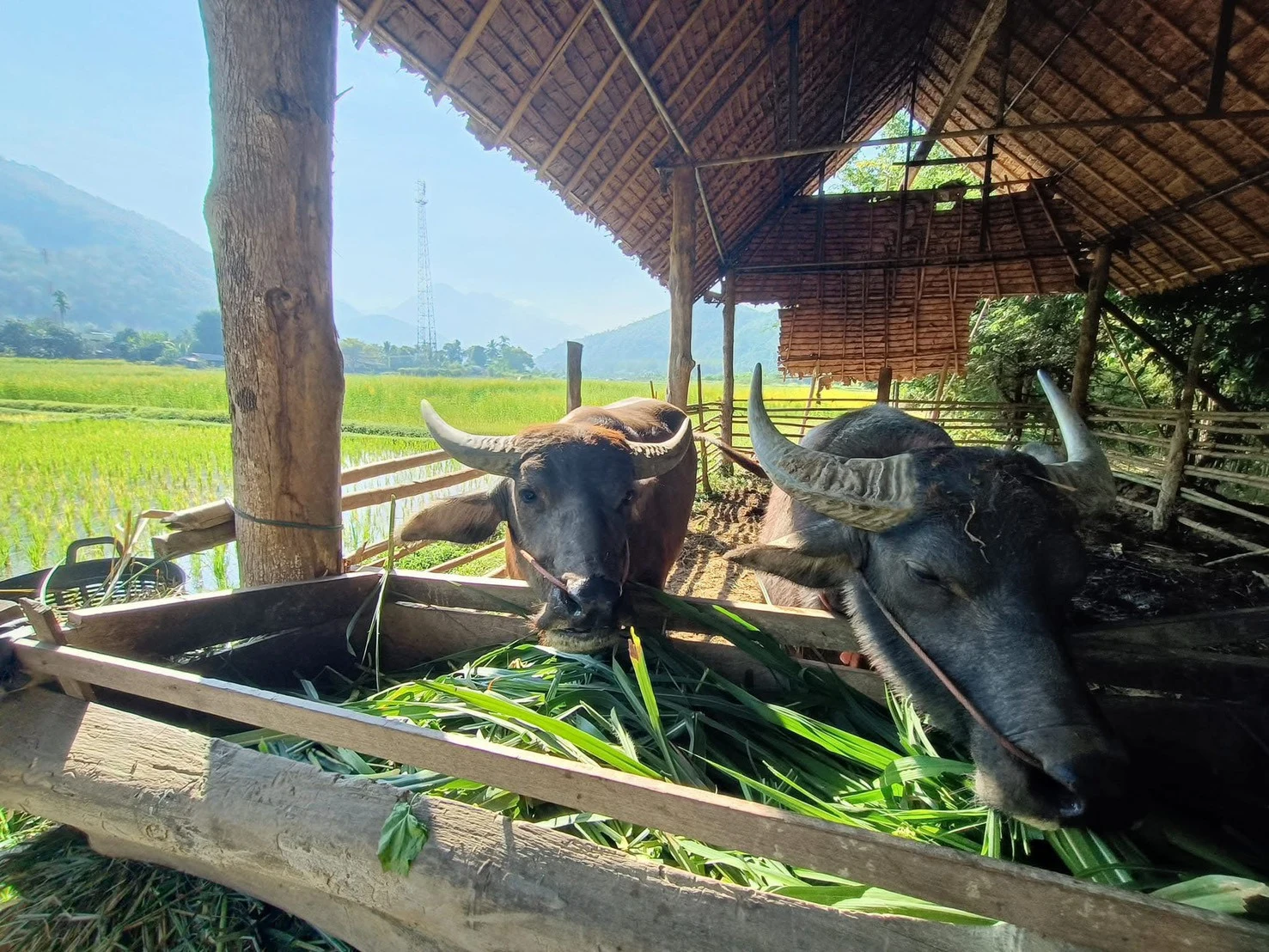 3 day 2 night pai-maehong son — gallery photo 15