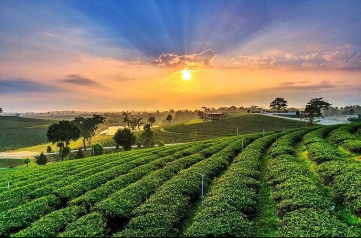 3day 2 nights Chiang Rai — cover
