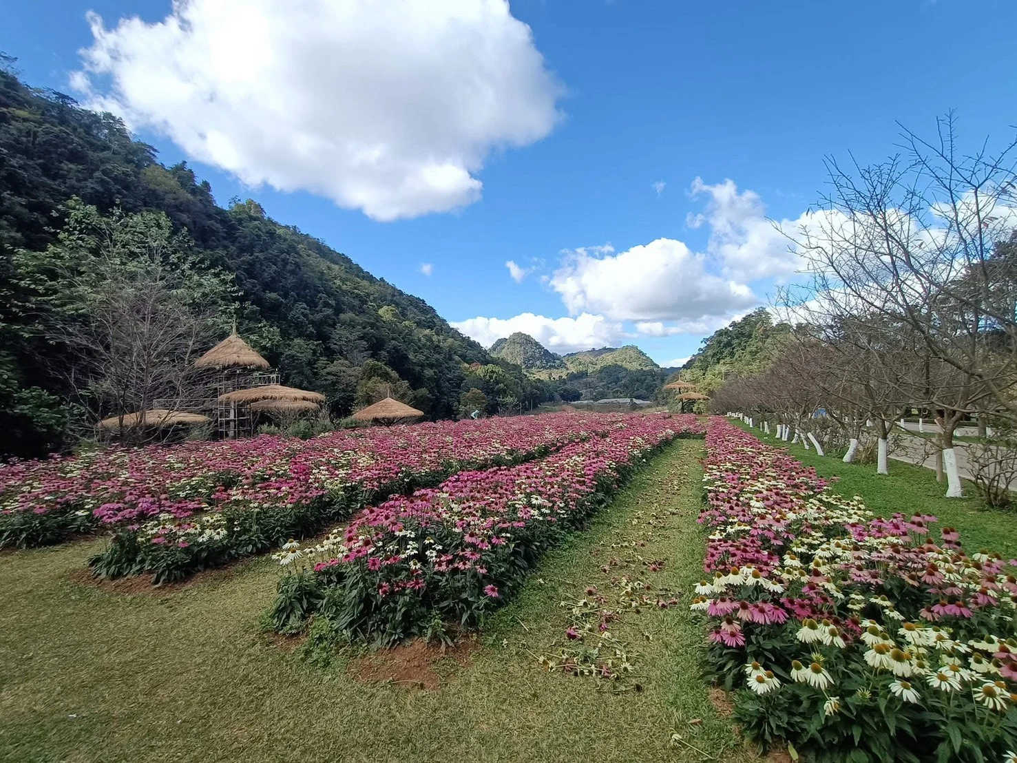 3day 2 nights Chiang Rai — gallery photo 8