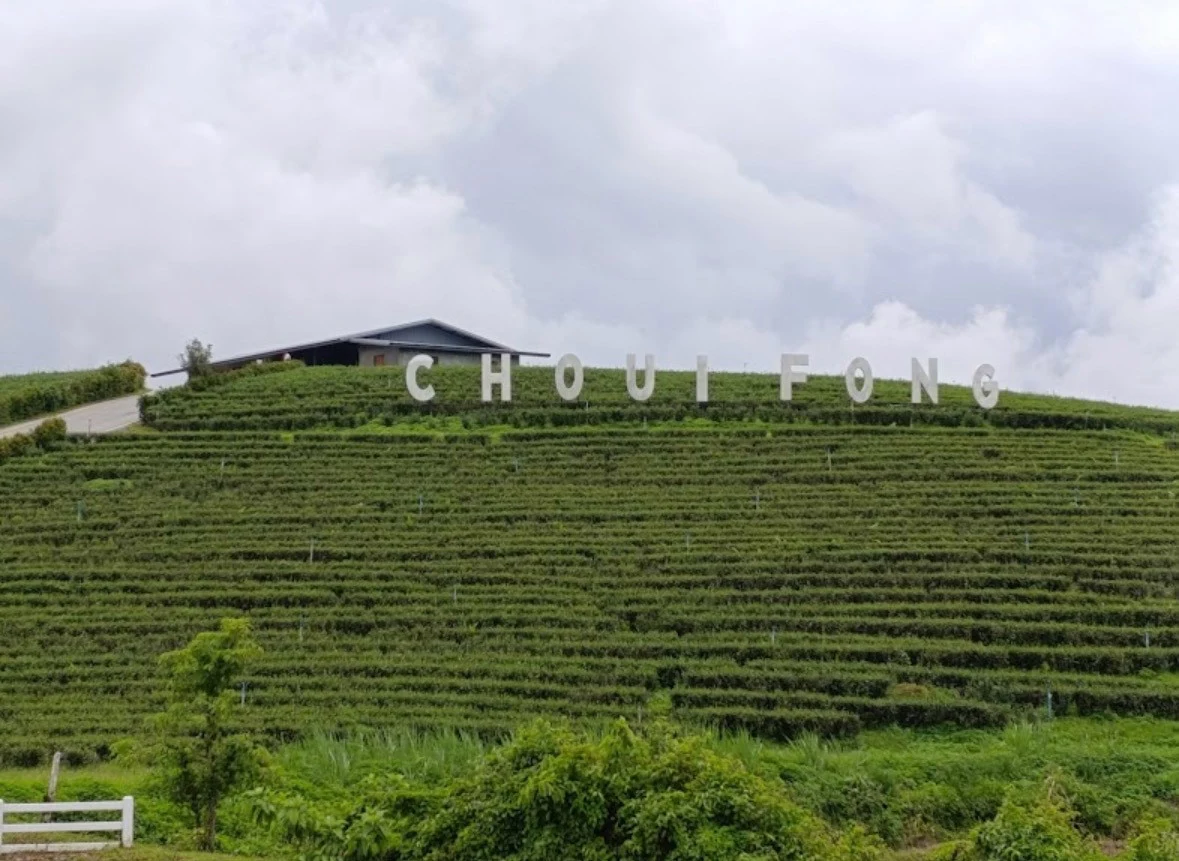 3day 2 nights Chiang Rai — gallery photo 17