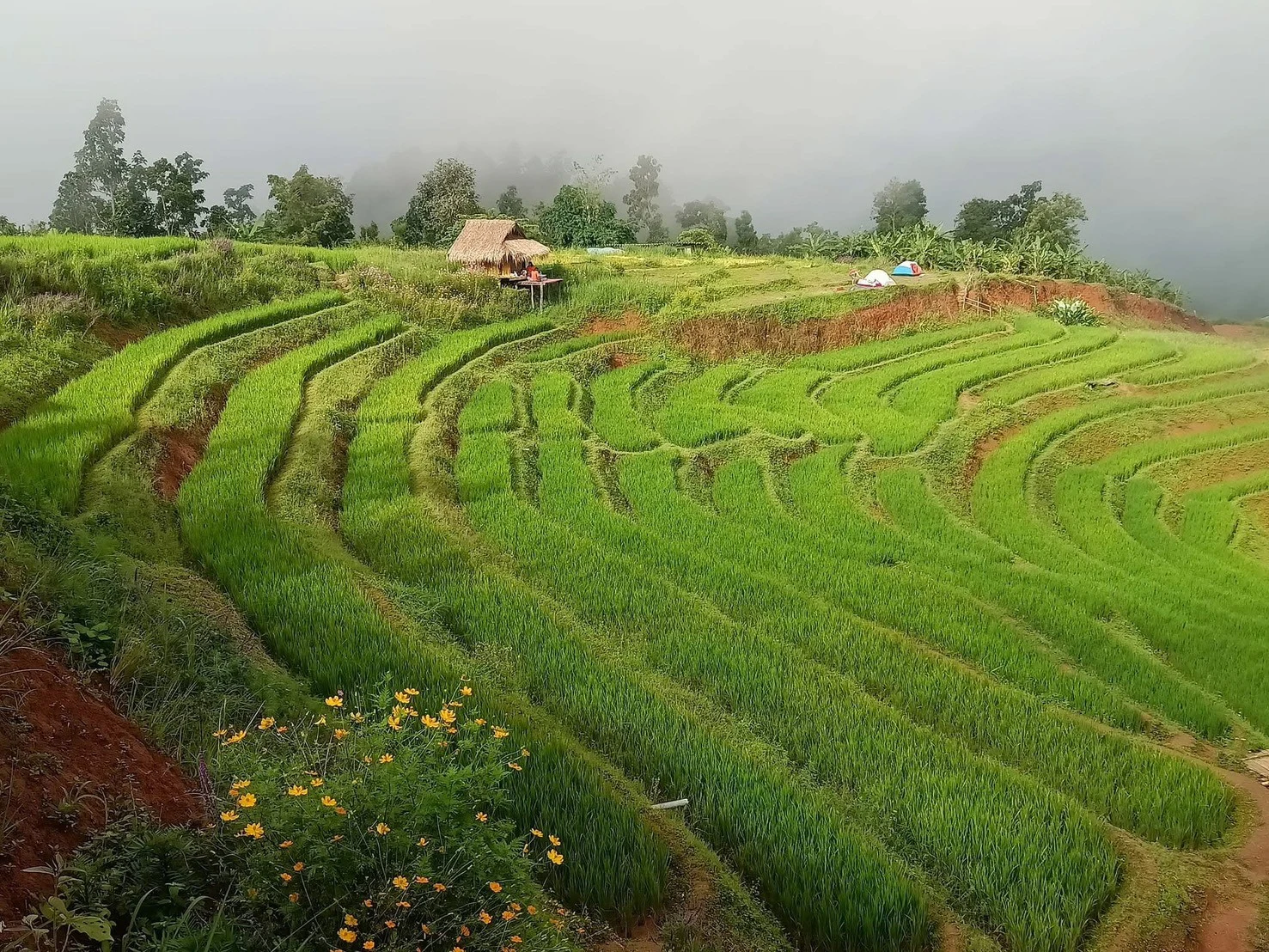Doi inthanon national park & phachor gran canyon — gallery photo 6