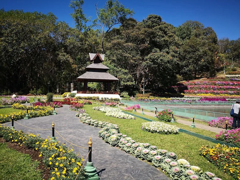 Doi suthep temple , phuping palace& doi pui villag — gallery photo 4