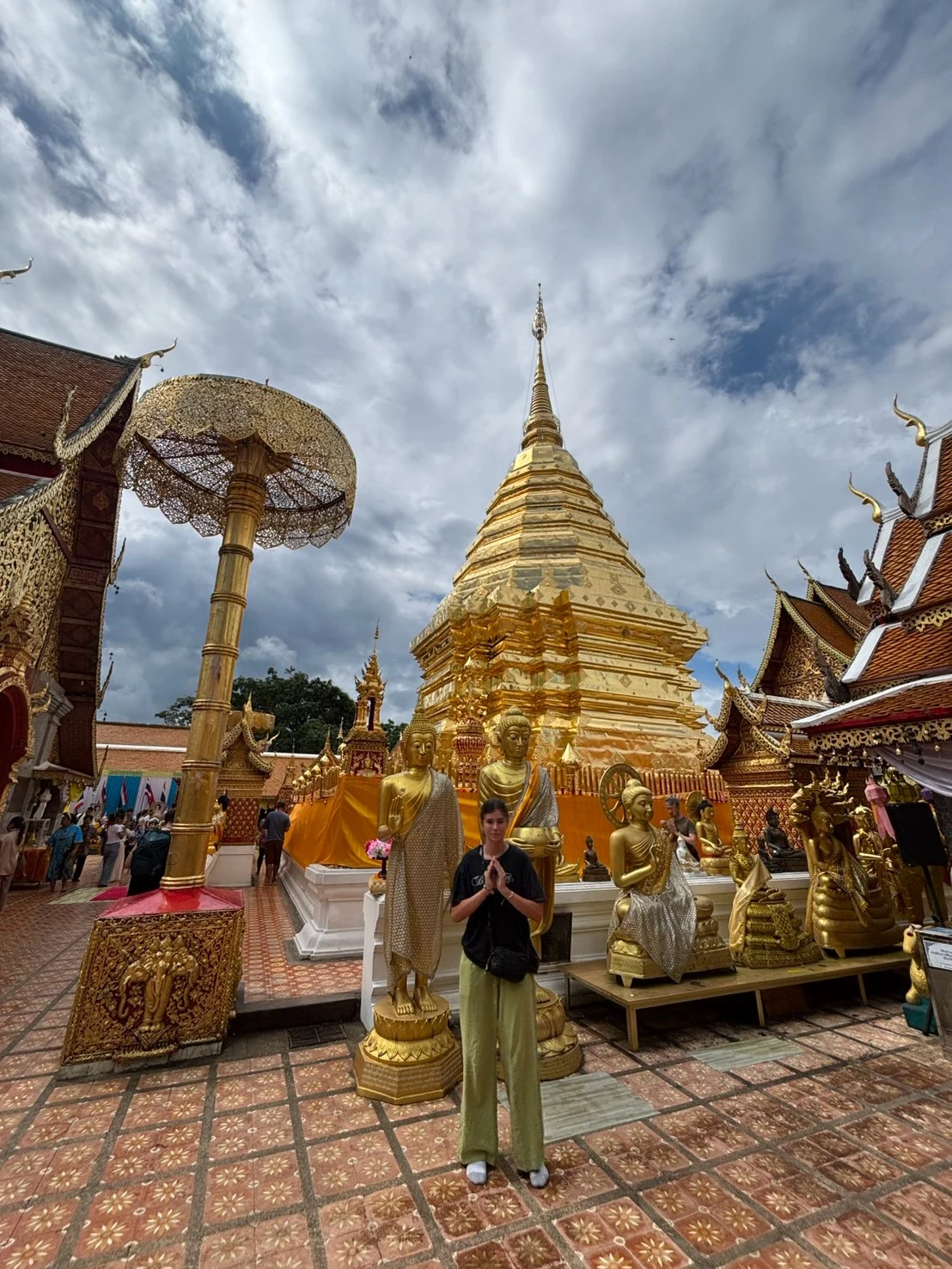 Doi suthep temple , phuping palace& doi pui villag — gallery photo 13