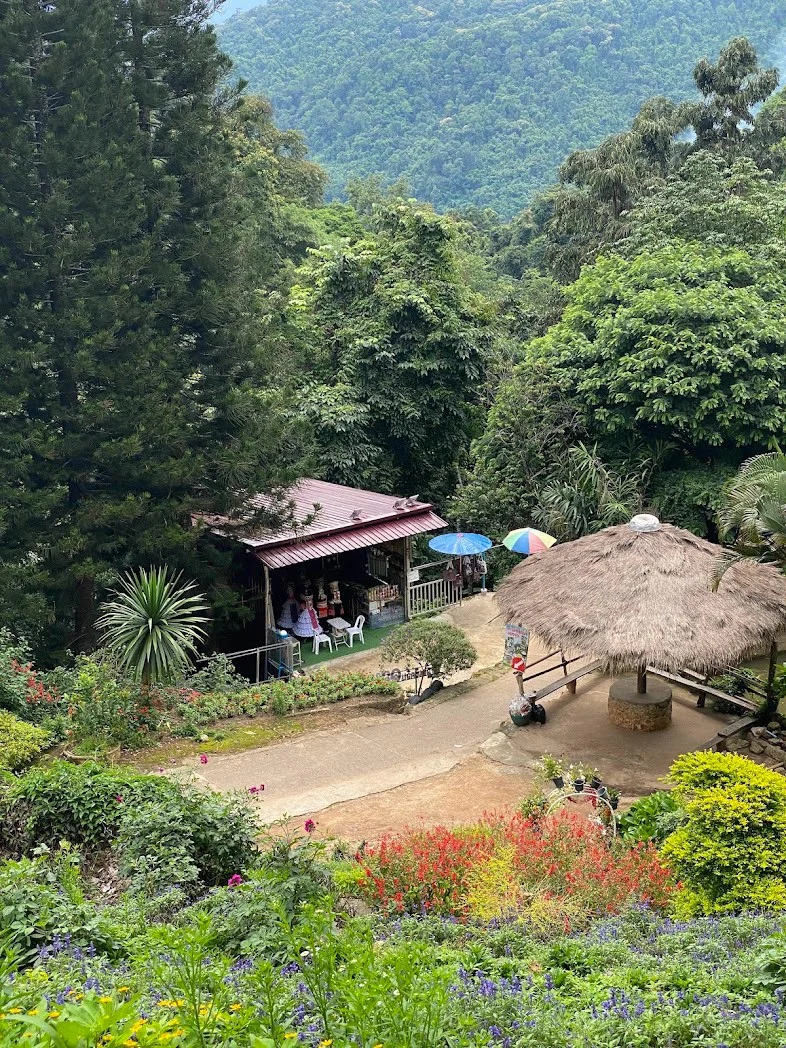 Doi suthep temple , phuping palace& doi pui villag — gallery photo 18