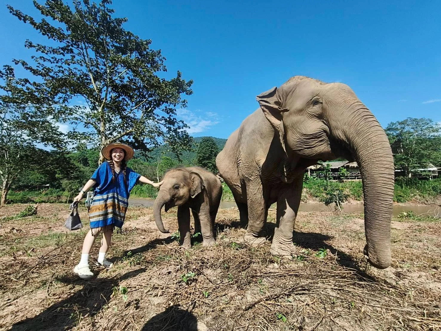 Doi Inthanon National Park – Easy Sightseeing (No Long Hike ...