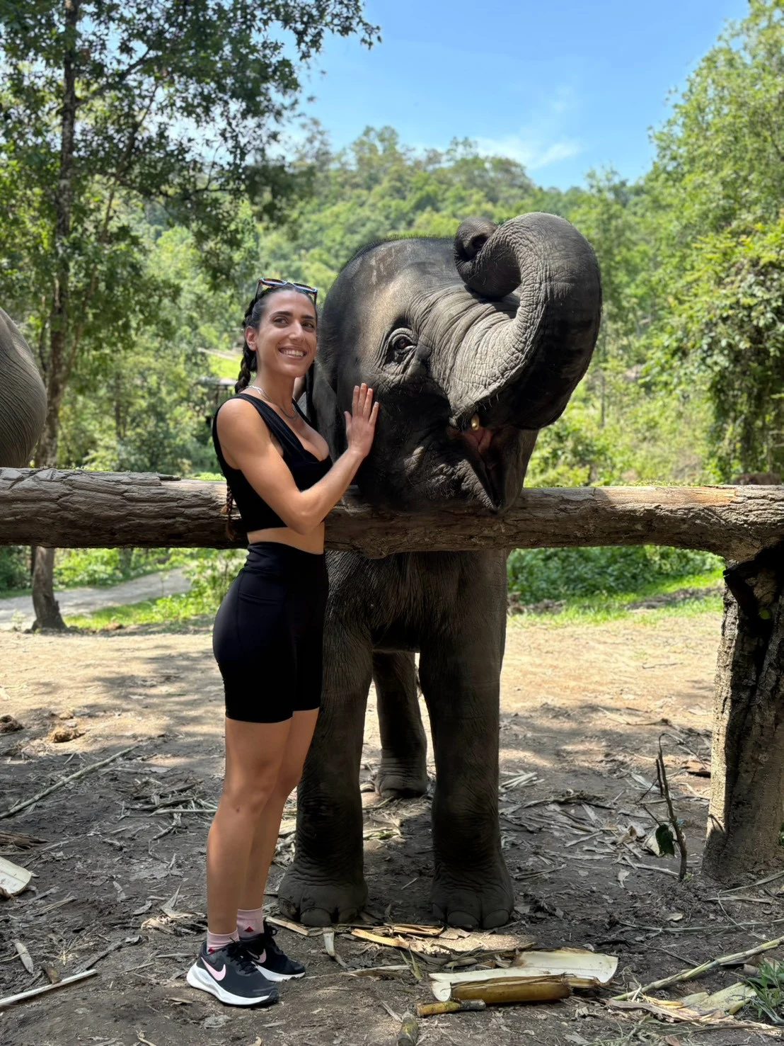 Doi Inthanon National Park & Elephant Sanctuary – Chiangmai Summit Travel
