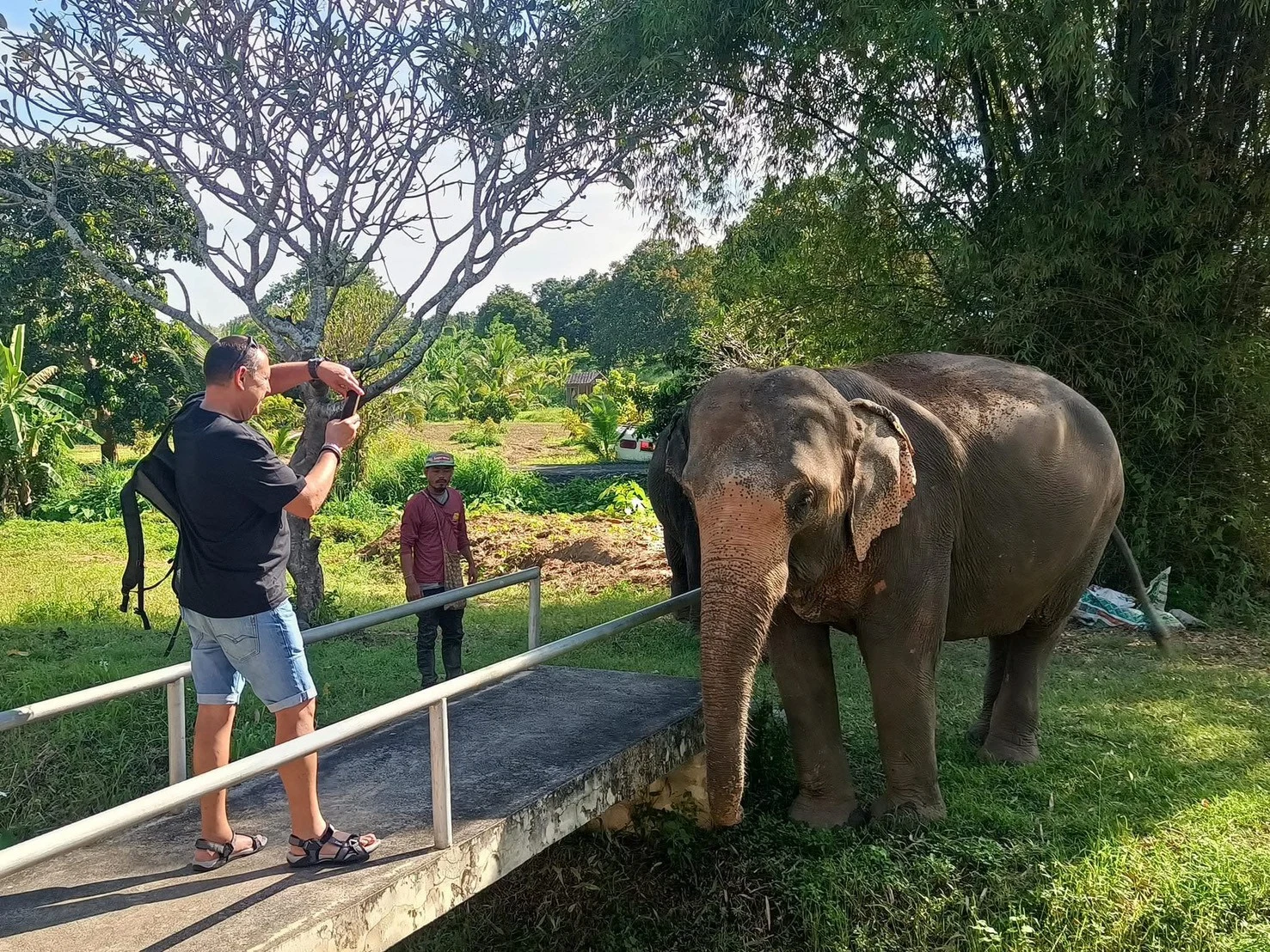 Elephant sanctuary & sticky waterfall — gallery photo 2