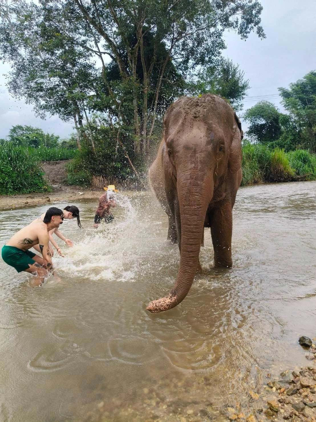 Elephant sanctuary & sticky waterfall — gallery photo 4