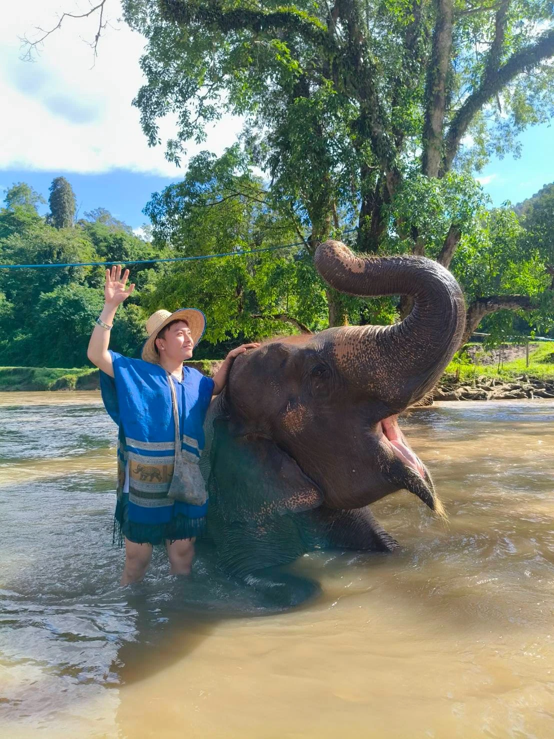 Elephant sanctuary & sticky waterfall — gallery photo 6