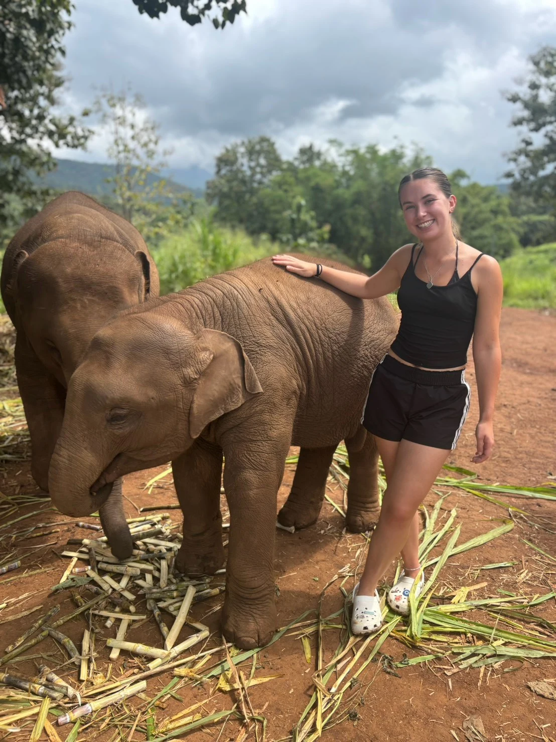 Elephant sanctuary & sticky waterfall — gallery photo 7