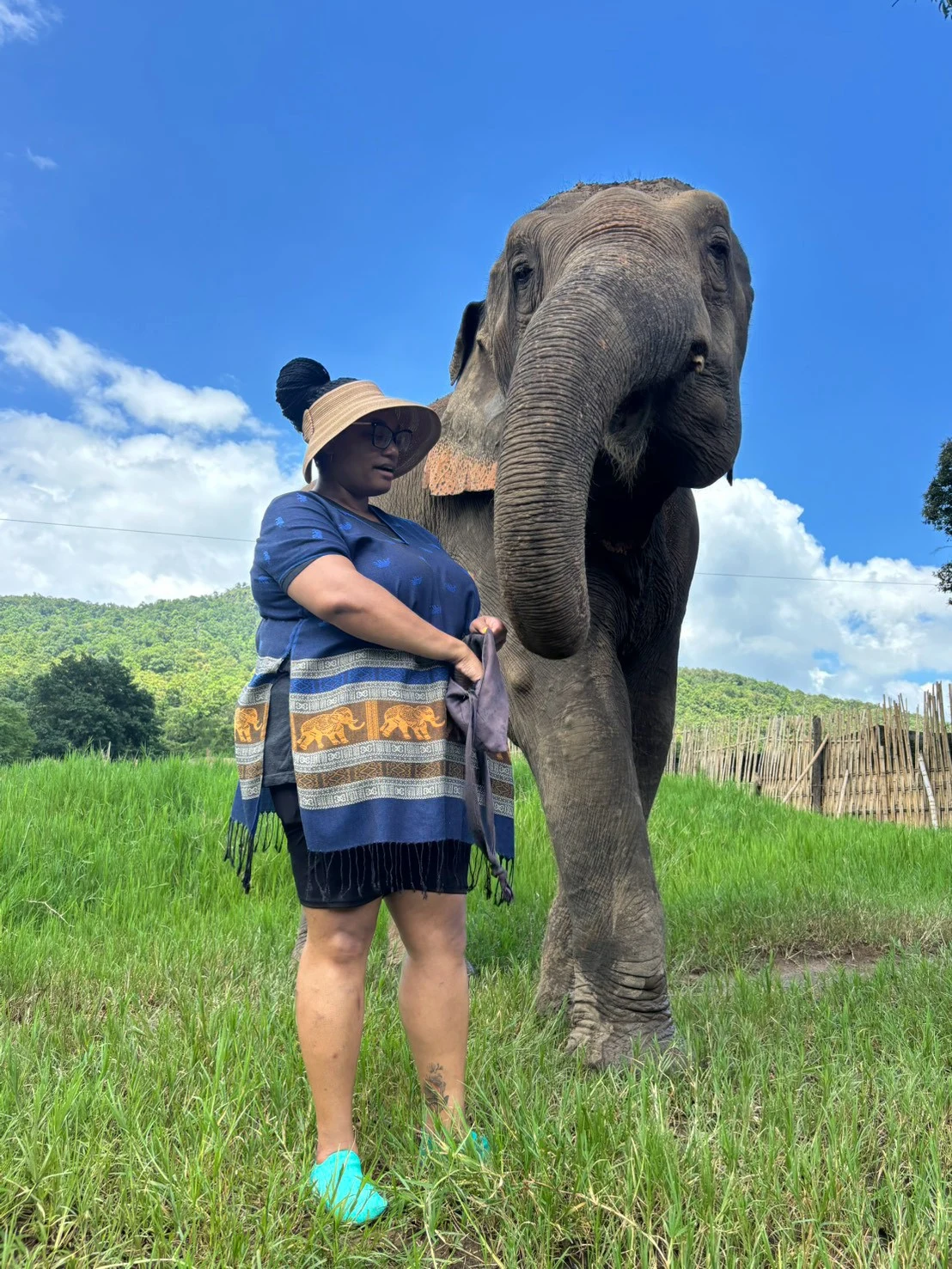 Elephant sanctuary & sticky waterfall — gallery photo 10