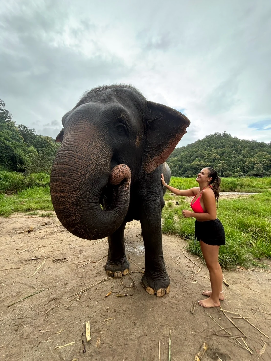 Elephant sanctuary & sticky waterfall — gallery photo 12