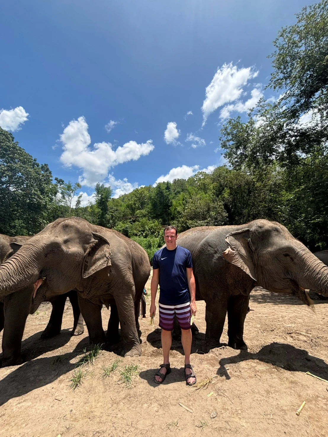 Elephant sanctuary & sticky waterfall — gallery photo 14