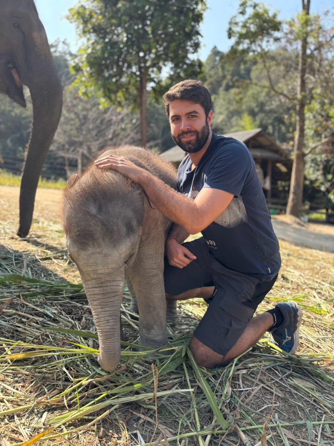 Elephant sanctuary & sticky waterfall — gallery photo 17