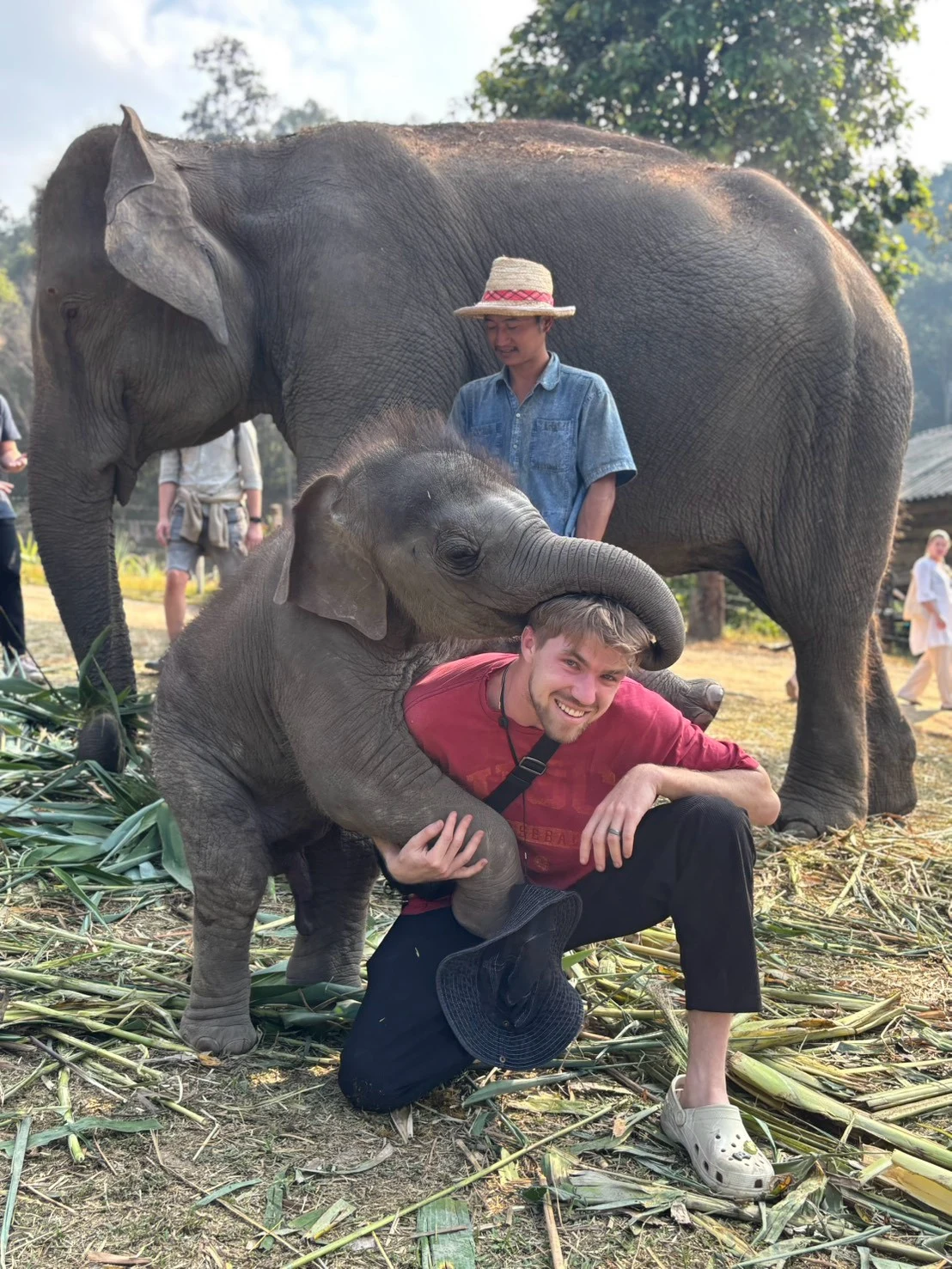Elephant sanctuary & sticky waterfall — gallery photo 18