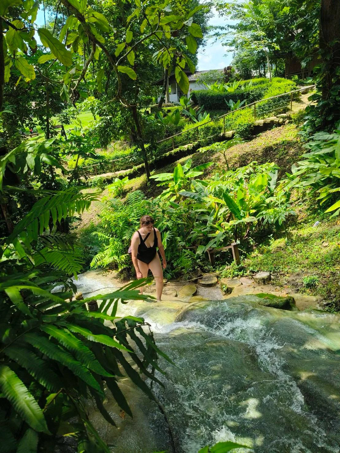 Elephant sanctuary & sticky waterfall — gallery photo 19