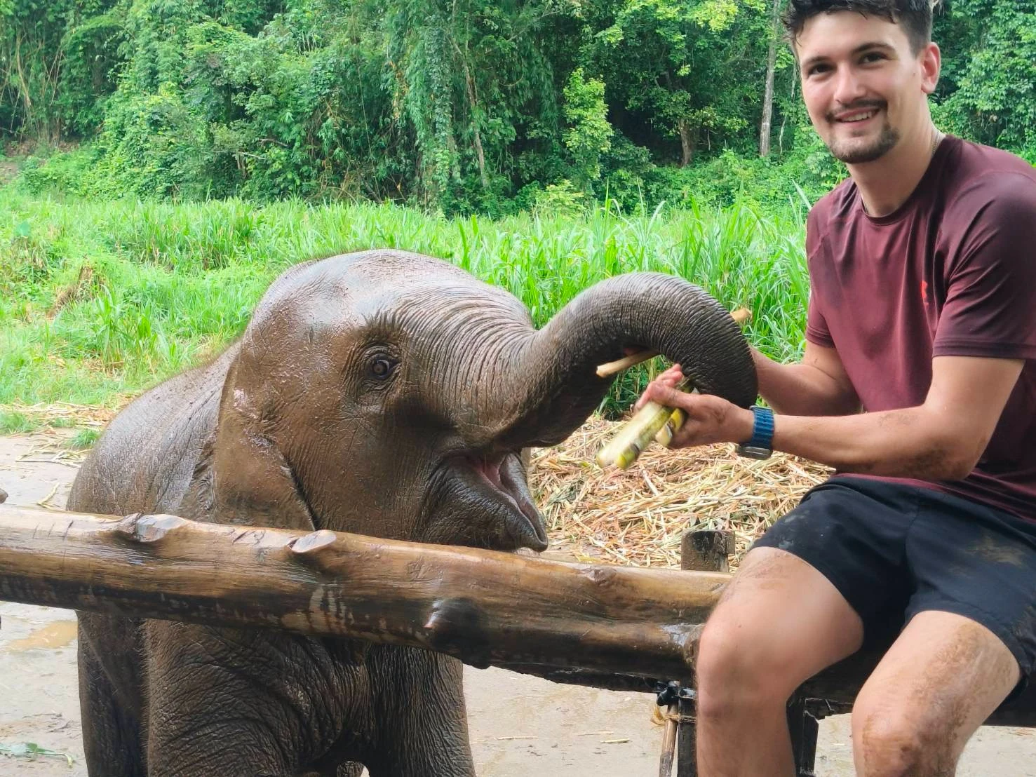 Elephant sanctuary ,waterfall,bamboo rafting — gallery photo 1