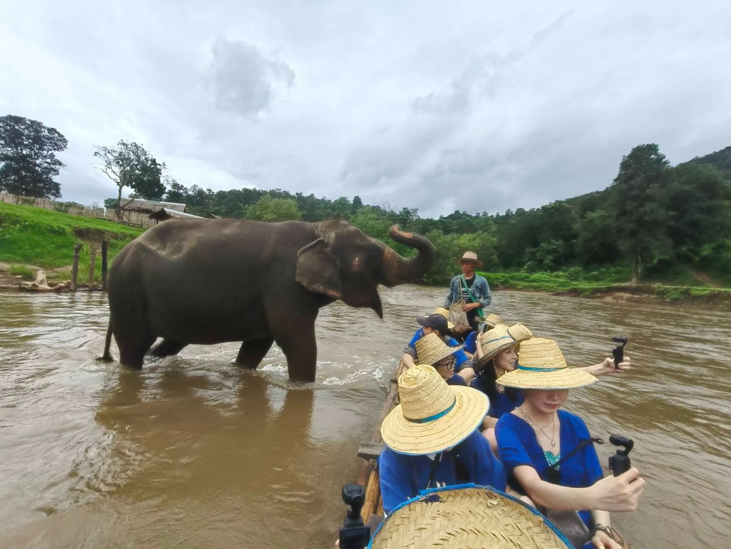 Elephant sanctuary ,waterfall,bamboo rafting — gallery photo 3