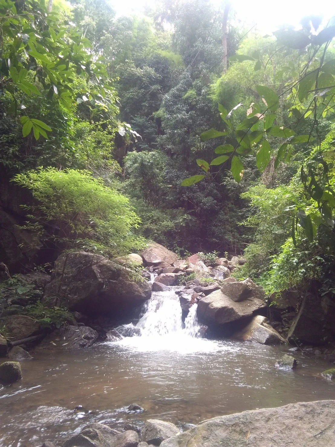 Elephant sanctuary ,waterfall,bamboo rafting — gallery photo 5
