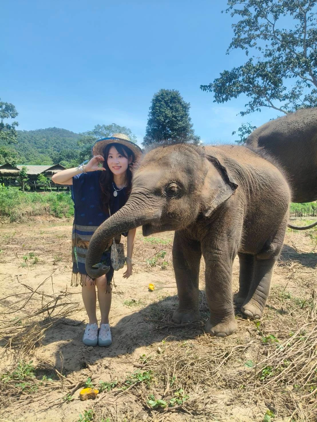 Elephant sanctuary ,waterfall,bamboo rafting — gallery photo 6