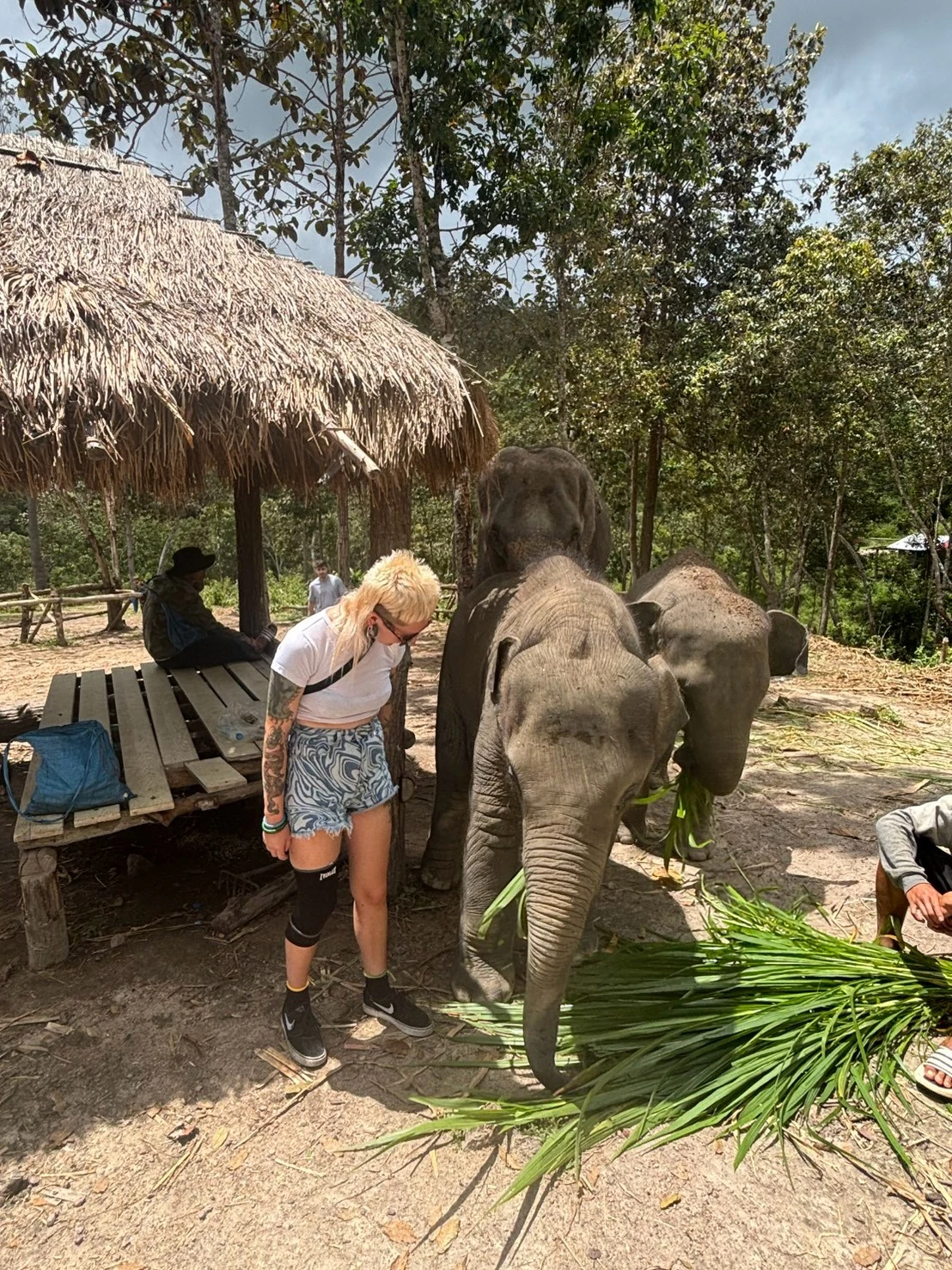 Elephant sanctuary ,waterfall,bamboo rafting — gallery photo 8