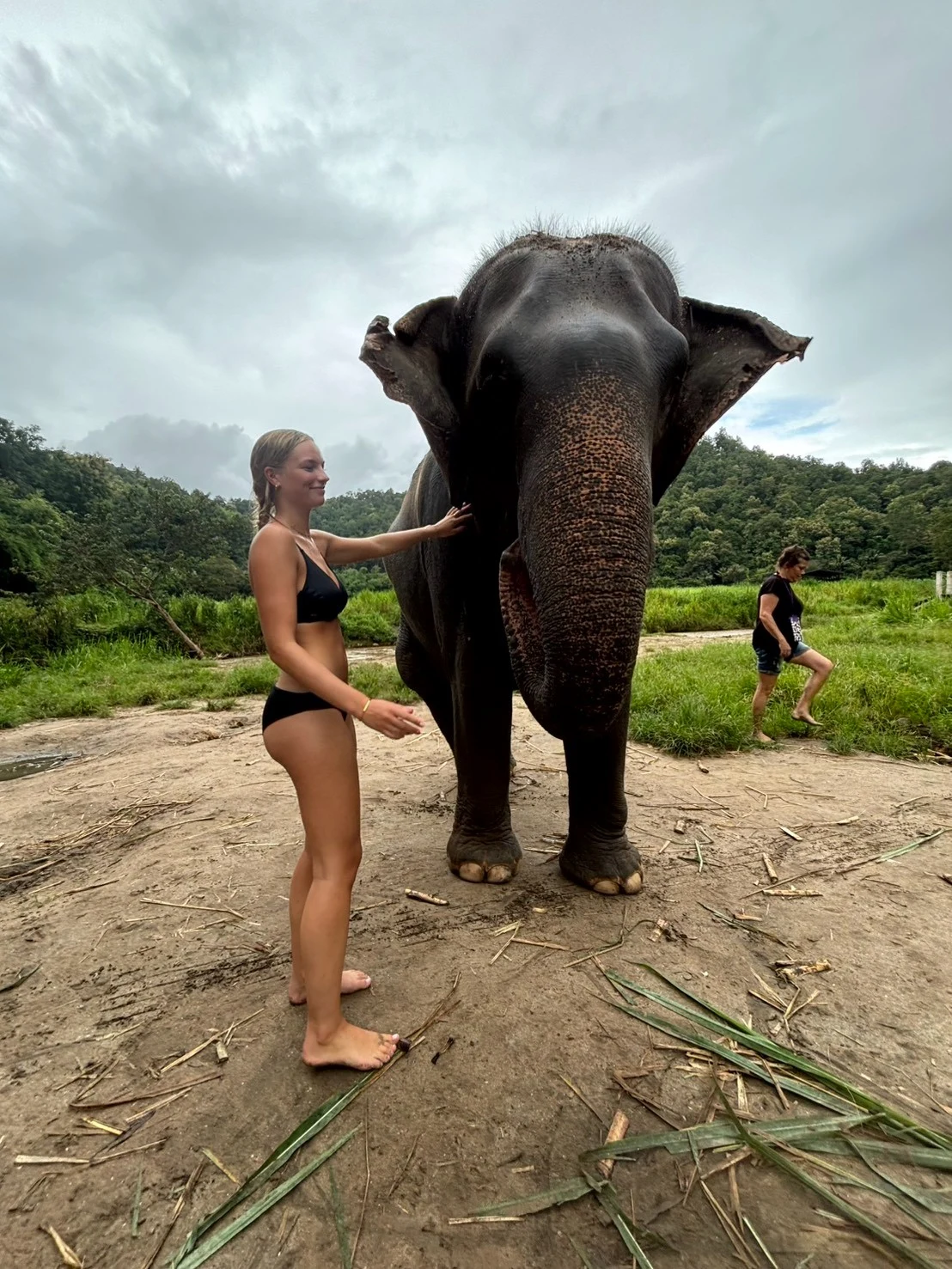Elephant sanctuary ,waterfall,bamboo rafting — gallery photo 12