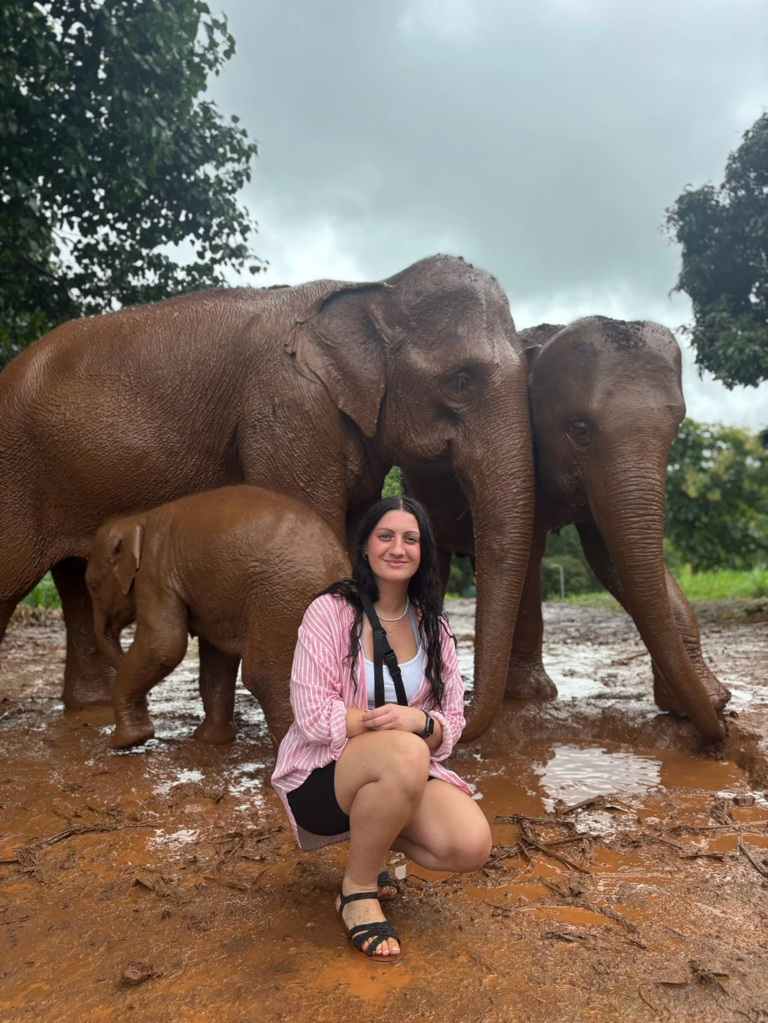 Elephant sanctuary ,waterfall,bamboo rafting — gallery photo 14