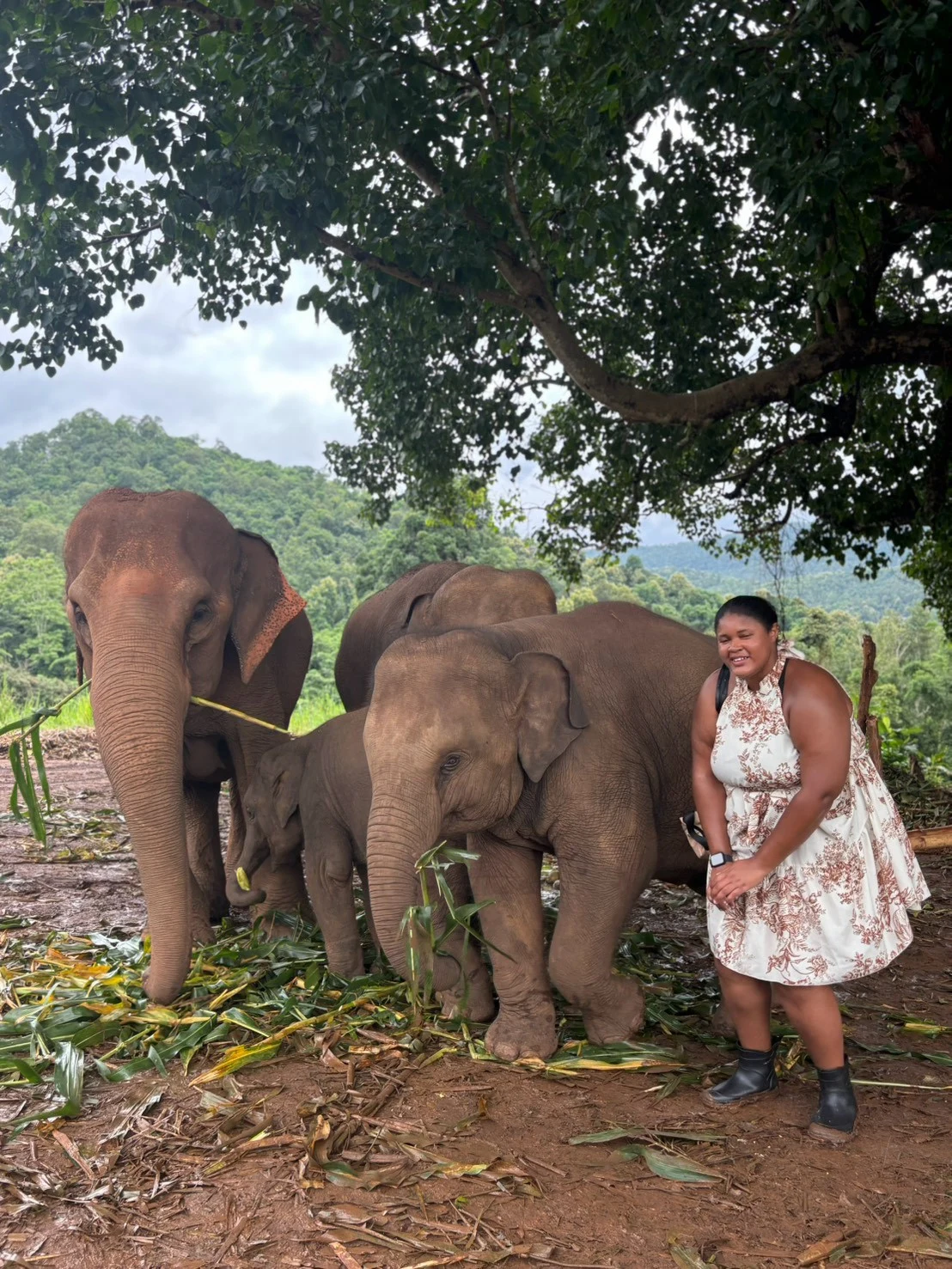 Elephant sanctuary ,waterfall,bamboo rafting — gallery photo 15
