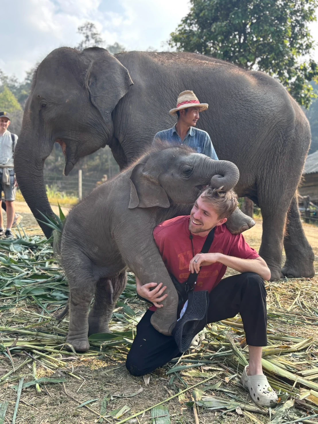 Elephant sanctuary ,waterfall,bamboo rafting — gallery photo 17