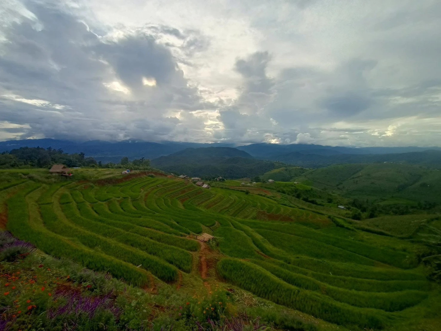 Inthanon national park & Phadok seaw natural trail — gallery photo 2