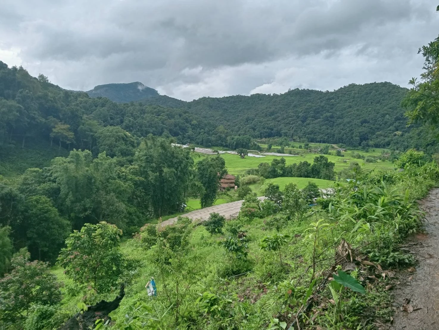 Inthanon national park & Phadok seaw natural trail — gallery photo 5