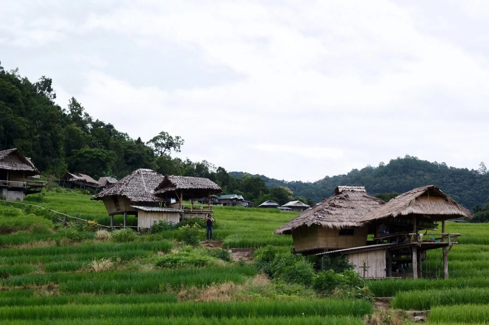 Inthanon national park & Phadok seaw natural trail — gallery photo 12