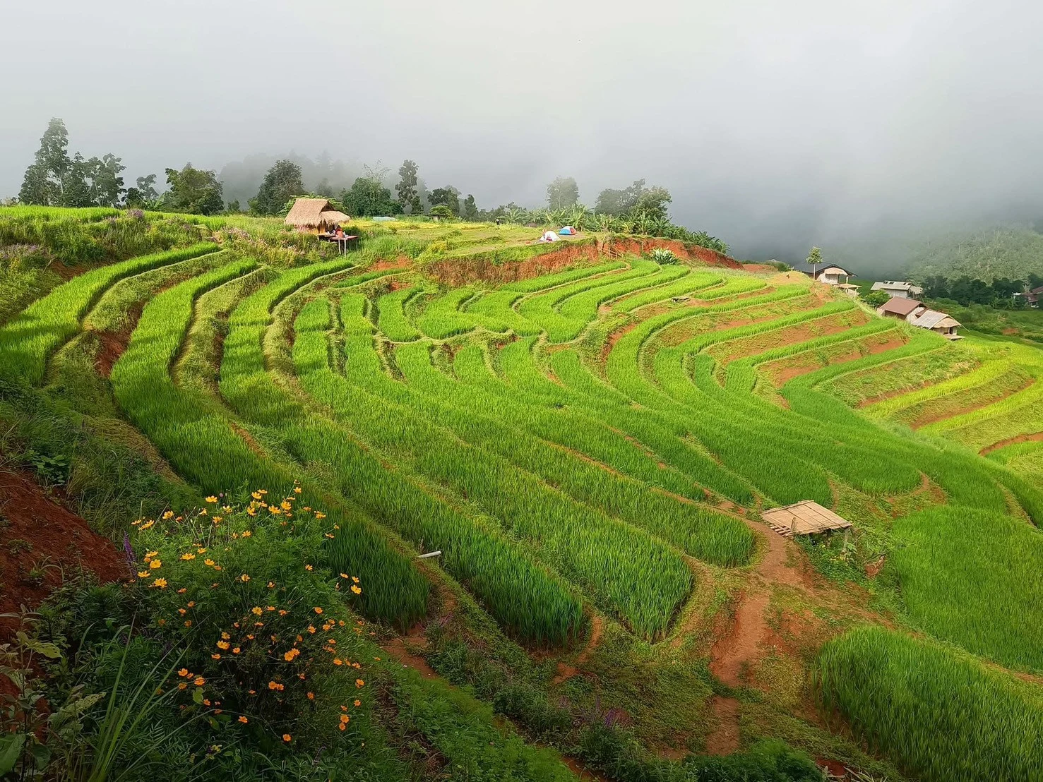 Doi Inthanon National Park & Pha Dok Siew Hiking – Chiangmai Summit Travel