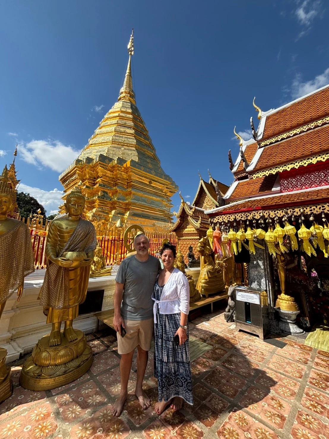 Wat phratat doi suthep& elephant sanctuary — gallery photo 8
