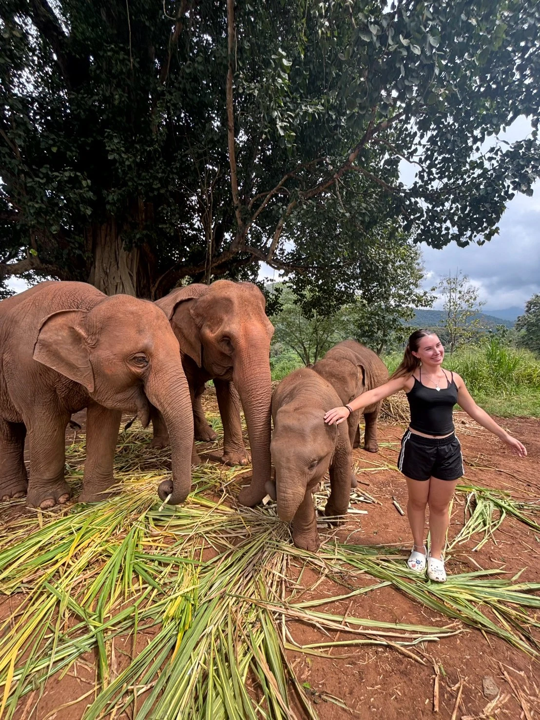 Wat phratat doi suthep& elephant sanctuary — gallery photo 15