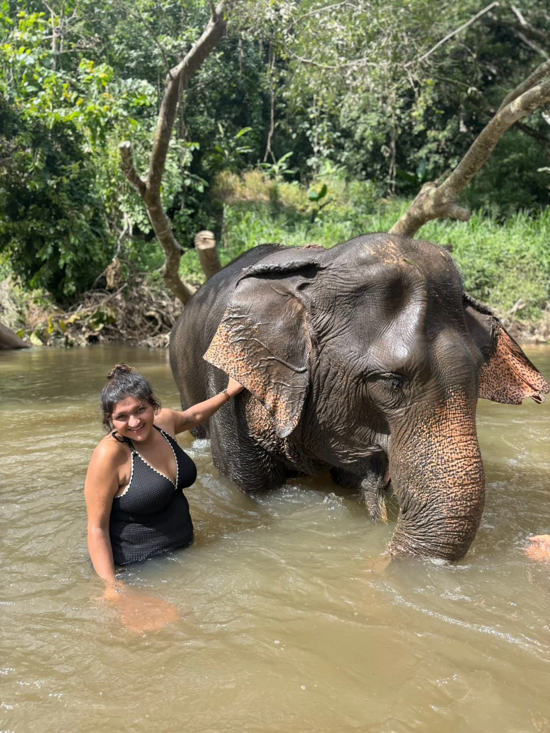 Wat phratat doi suthep& elephant sanctuary — gallery photo 16