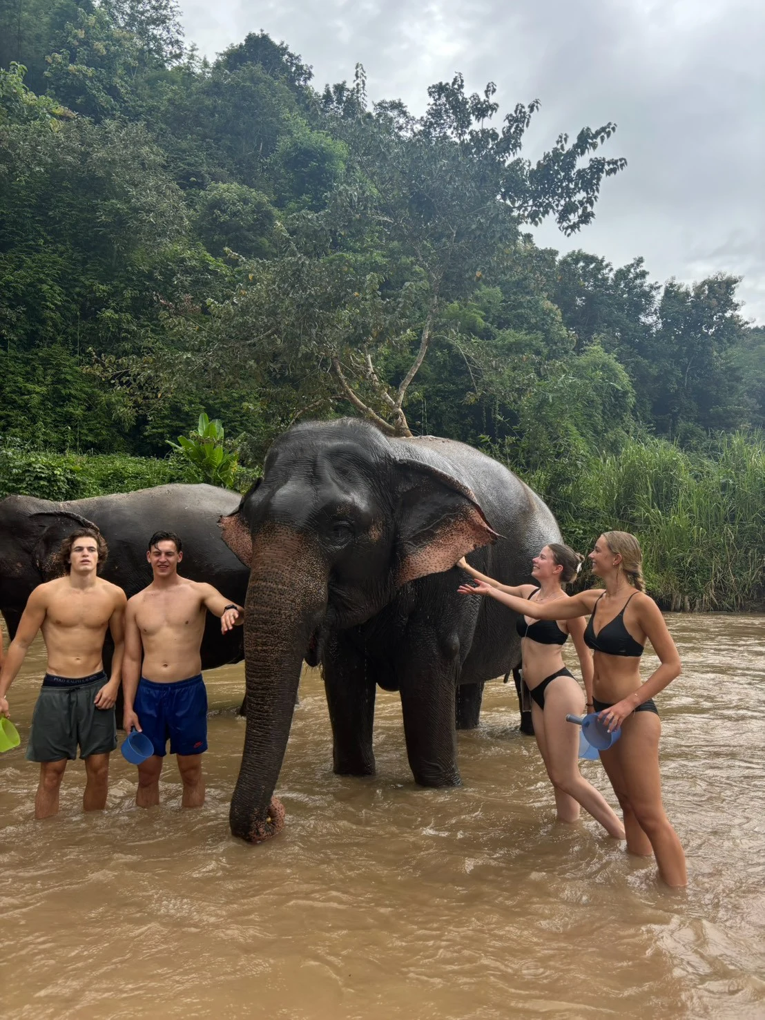Wat phratat doi suthep& elephant sanctuary — gallery photo 17