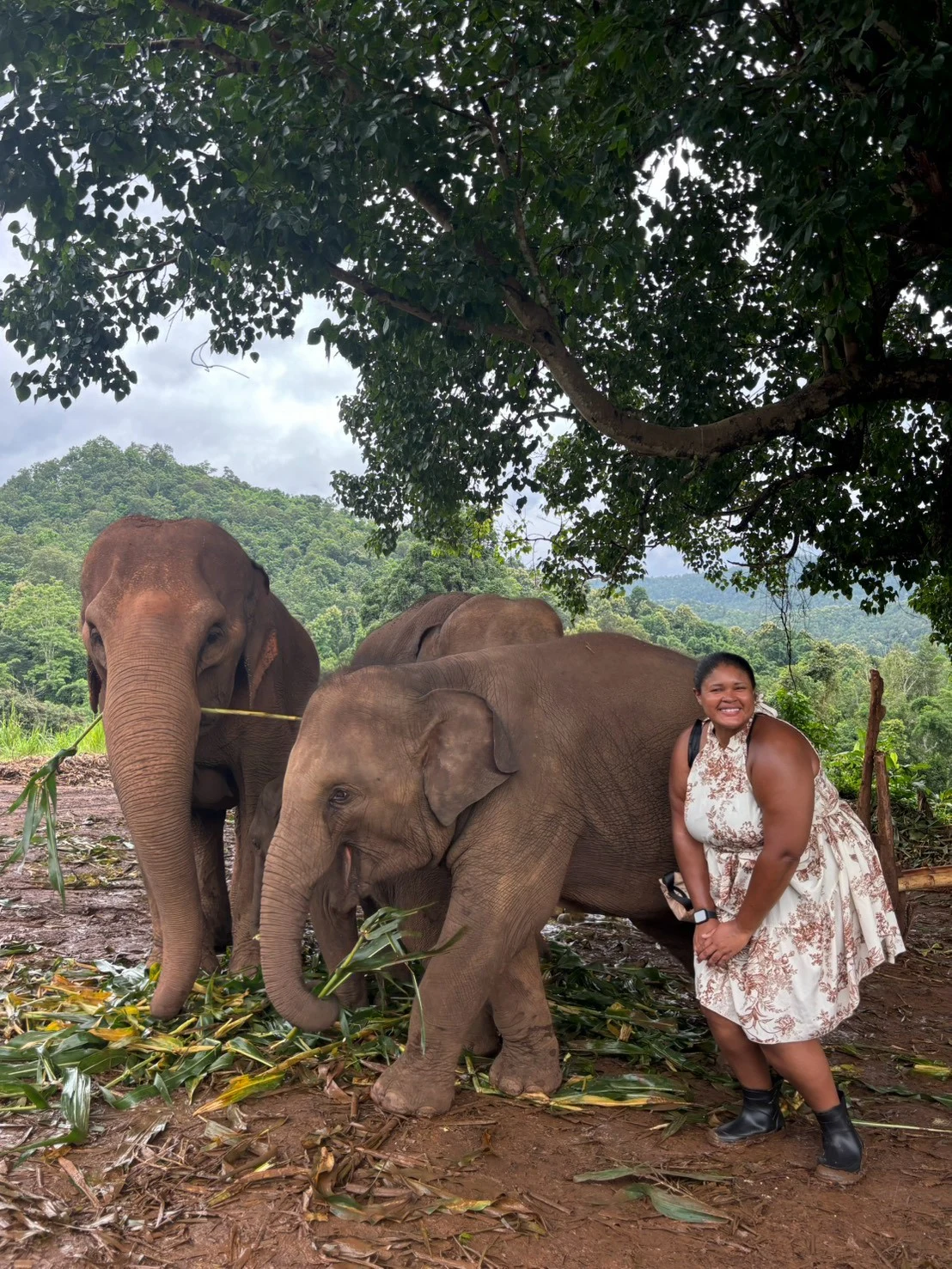 Wat phratat doi suthep& elephant sanctuary — gallery photo 18